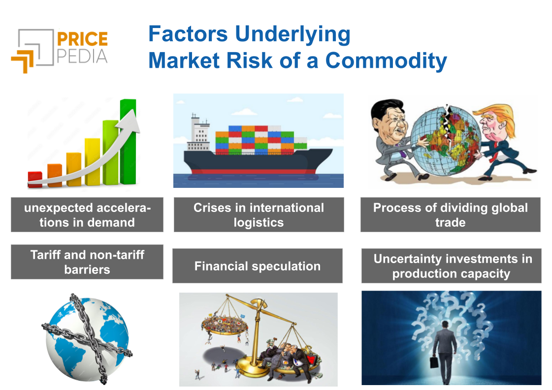 Factors Underlying  Market Risk of a Commodity