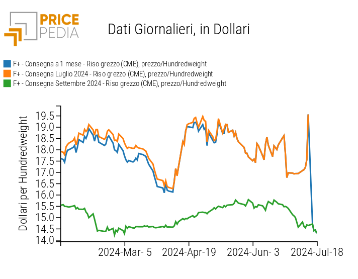 Dinamica dei contratti futures sul riso grezzo, quotati al CME