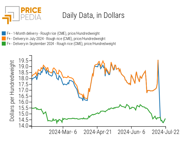 Dynamics of rough rice futures contracts, quoted at the CME